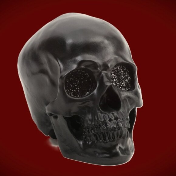 MOONLIGHT MANOR 7IN RESIN SKULL DECOR NIB - Picture 1 of 1
